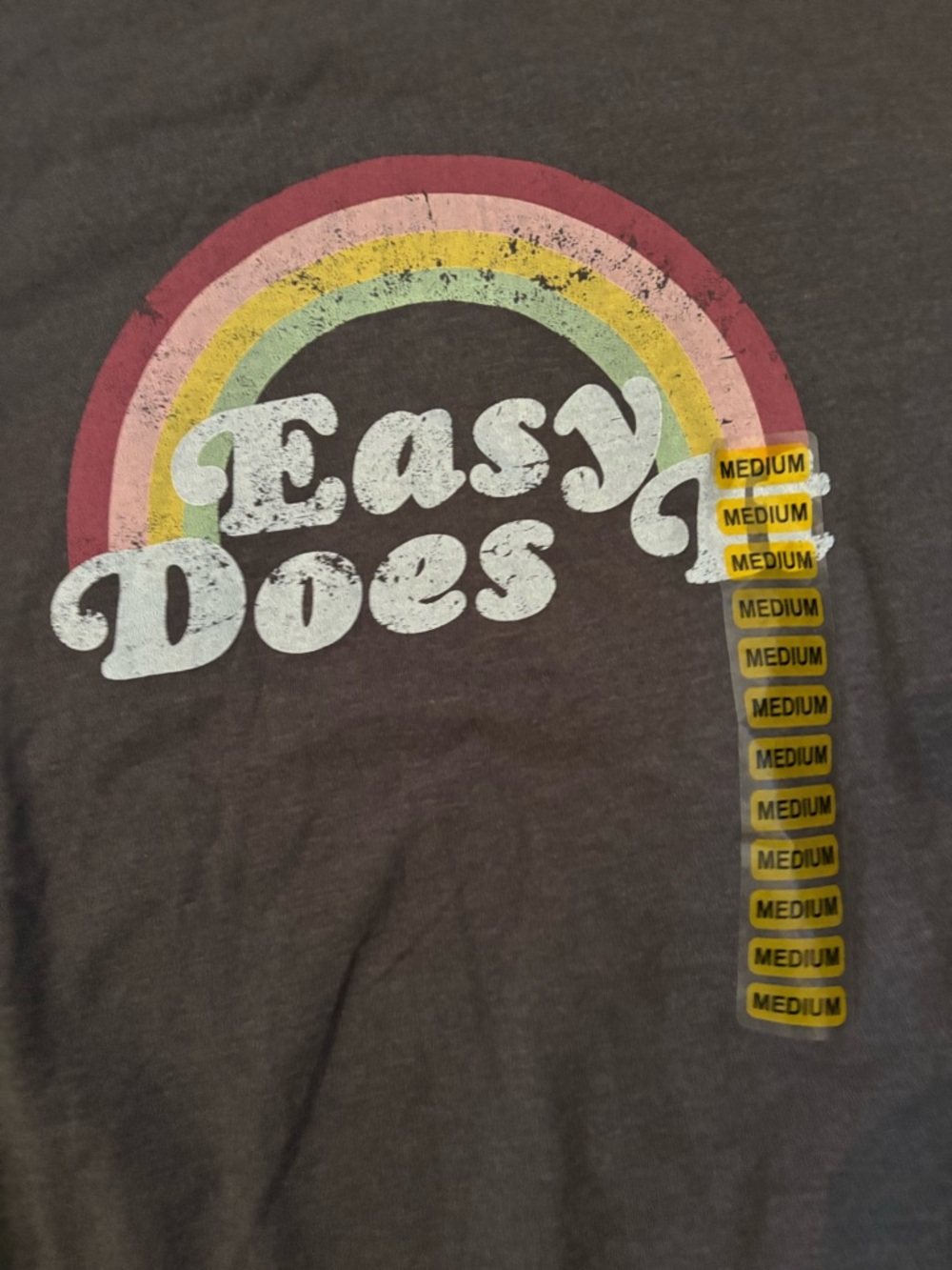 Wildfox Charcoal 'Easy Does' Rainbow Long Sleeve Tee - Picture 3 of 8